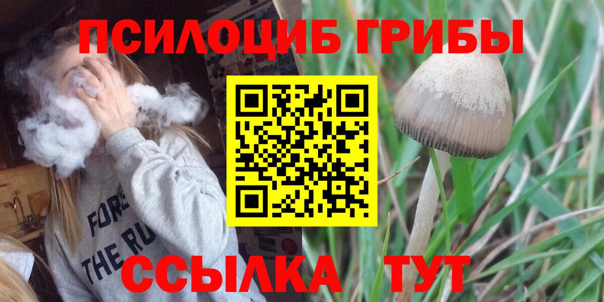 Галлюциногенные грибы GOLDEN TEACHER  Вход с VPN  Туймазы 