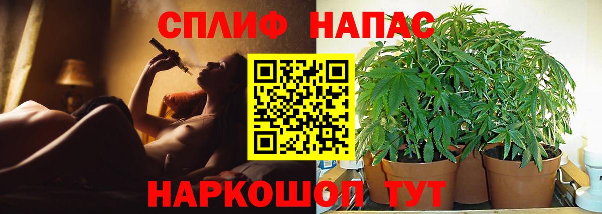 Канабис гибрид Туймазы